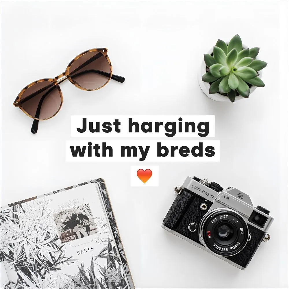 Tree Puns for Instagram