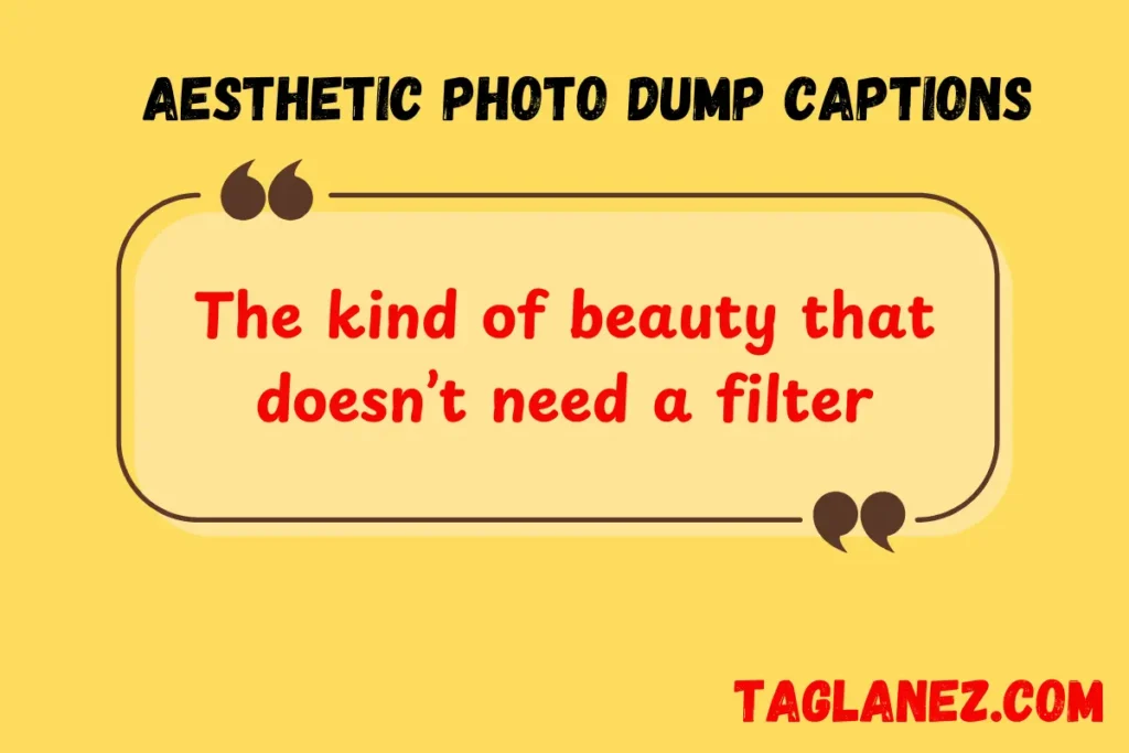 Aesthetic Photo Dump Captions