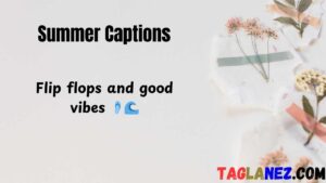 Read more about the article 376 Instagram Summer Captions 2025