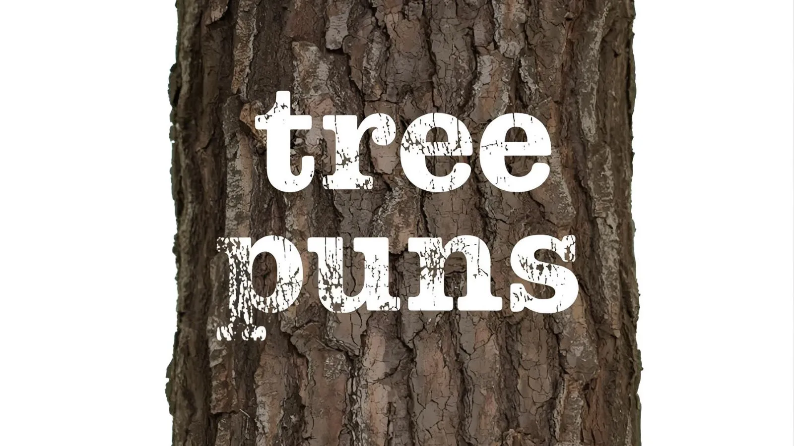 Read more about the article 156 + Tree Puns: A Tree-mendous Collection of Nature-Inspired Wordplay for 2026